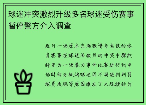 球迷冲突激烈升级多名球迷受伤赛事暂停警方介入调查